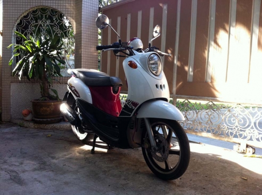 ขออนุญาติขาย Yamaha Fino 115cc ตัว TOP ลัอแม็ก โอนให้ฟรีครับ