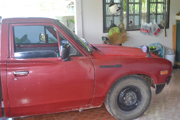 ขาย ดัสสัน ช้างเหยียบแห้งๆ lสนใจโทรมาเลยครับ (ครูเจมส์ 0821287055)