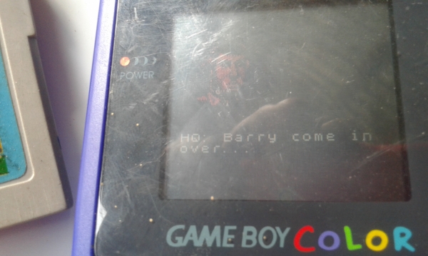 ขายเกมส์บอยคัลเลอร์