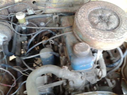 กระบะ ช้างเหยียบ