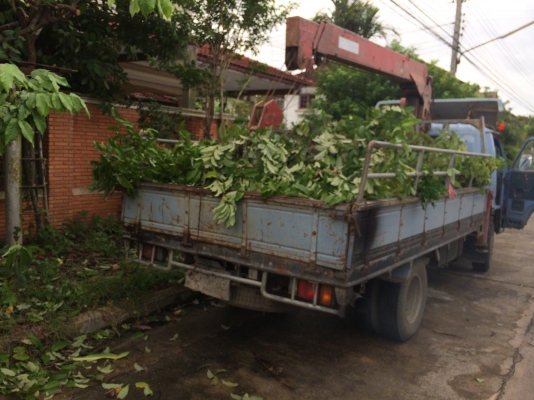 6ล้อ110แรงติดเครน3ตันUNIC รถสภาพดี ภาษีเต็ม..(รถใช้ส่วน ใช้ในสวน)