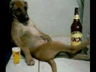 ขายขาดตัวรถเกี่ยวข้าว160000บาท