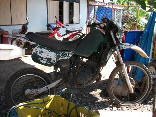 ขาย  HONDA   MTX 125
