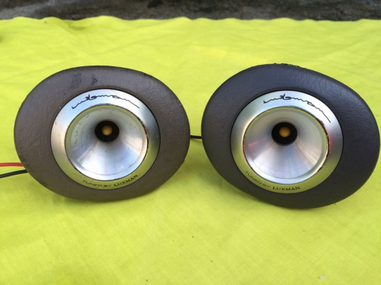 ทวิตเตอร์ Alpine Luxman โดมสีเหลือง ของในตำนาน