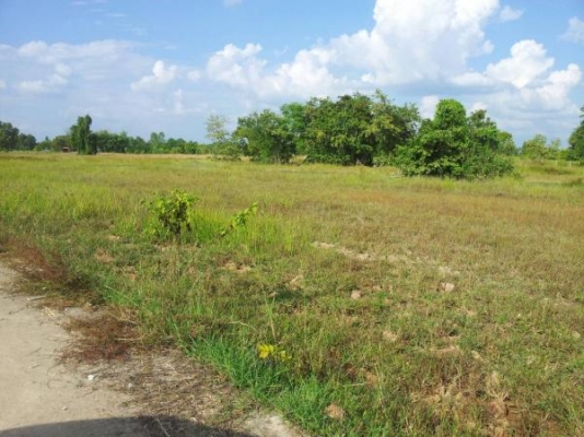 ขายที่ดิน อำเภอเมืองอุดร หนองขอนกว้าง จำนวน 16 ไร่ แบ่งขายได้