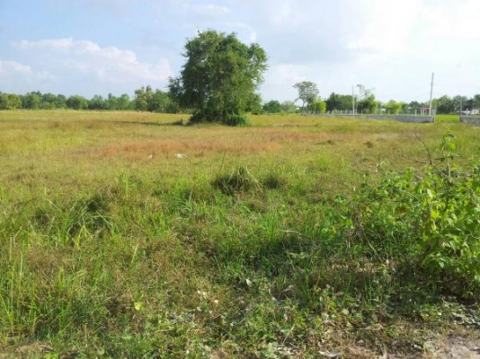 ขายที่ดิน อำเภอเมืองอุดร หนองขอนกว้าง จำนวน 16 ไร่ แบ่งขายได้