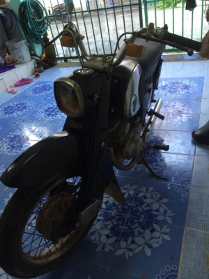 ขายหน้าหมู c 95 แห้งๆเครื่องฟิตถูกๆ 17000 บาท ( ยกเลิกการขายชั่วคราว )