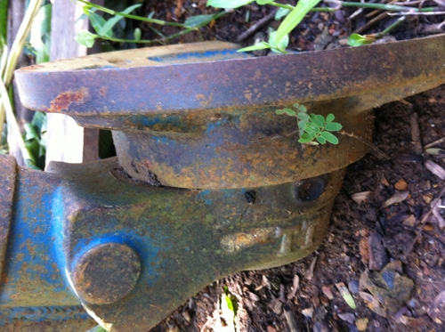 โครงผาน 4 พร้อมบัว มีคัดท้าย ไม่มีใบผาน (TT)