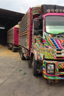 ขาย ISUZU 360 กระบะเนียมดั๊มเกษตร รถปี 53 ( มี 4 พ่วง )