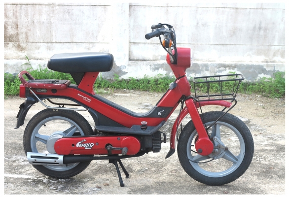 สายพันธุ์อิตาลี Piaggio Grillo