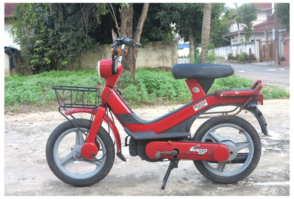 สายพันธุ์อิตาลี Piaggio Grillo สายพันธุ์อิตาลี Piaggio Grillo
