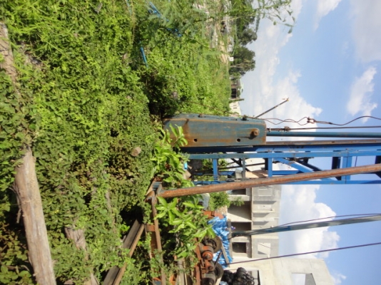 ฝากขายปั้นจั่น 15 ม. สักตัว