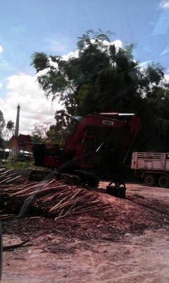 ขายรถแมคโค คีบไม้ คูโบต้า เท่า  50