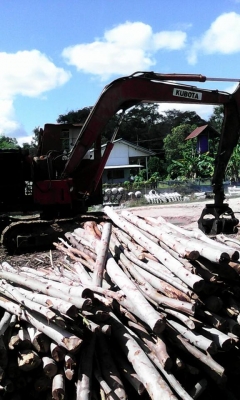 ขายรถแมคโค คีบไม้ คูโบต้า เท่า  50