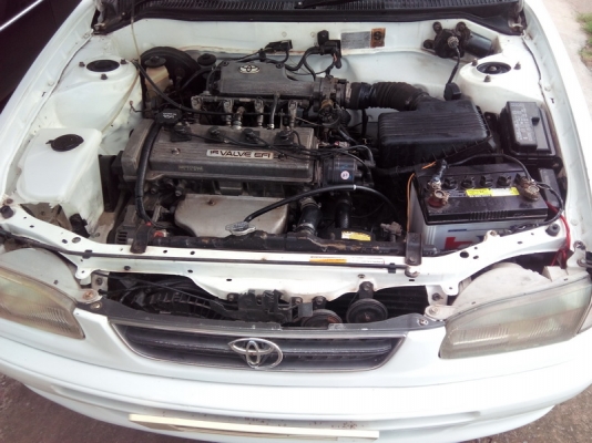 ขายตัด โคโลล่า 40 ตูดเป็ด