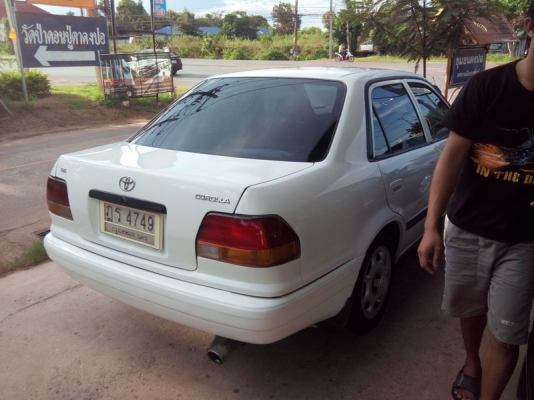 ขายตัด โคโลล่า 40 ตูดเป็ด