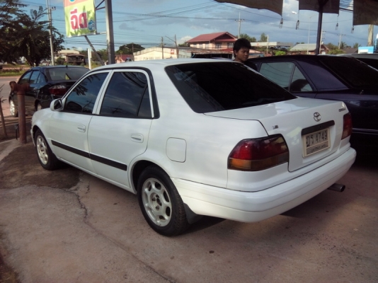 ขายตัด โคโลล่า 40 ตูดเป็ด