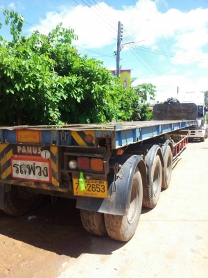 ด่วนถูกๆขายพื้นเรียบ PANUS ยาว 12 เมตร 3 เพลาแท้ ทะเบียนพร้อมโอน