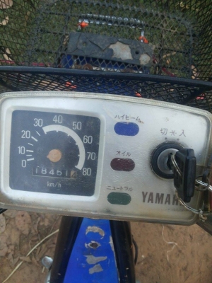 ขายชิปปี้ เครื่องดี ขี่ได้เลย 4 เกียร์ ฟิตแล้ว พร้อมขี่ได้เลย