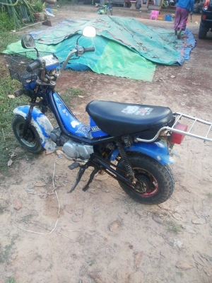 ขายชิปปี้ เครื่องดี ขี่ได้เลย 4 เกียร์ ฟิตแล้ว พร้อมขี่ได้เลย