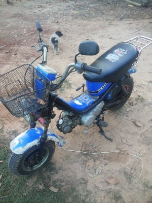 ขายชิปปี้ เครื่องดี ขี่ได้เลย 4 เกียร์ ฟิตแล้ว พร้อมขี่ได้เลย