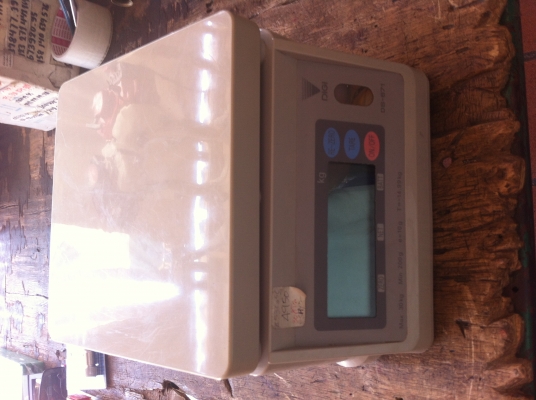 เครื่องชั่งน้ำหนักดิจิตอล ขนาด 30 Kg.ขึ้นที่ละ 10 กรัม ผลิตจากญี่ปุ่น