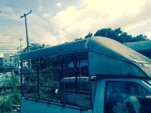 ต้องการขายหลังคากระบะตอนเดียว