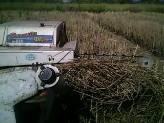 รถนวดข้าวเดินตาม KUBOTA RH650 รถนวดข้าวเดินตาม KUBOTA RH650