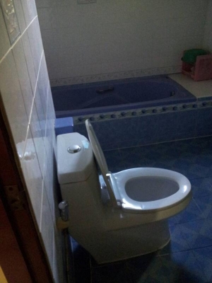 ขายบ้านเดี่ยว บางใหญ่ ถ.รัตนาธิเบศร์ 121 ตารางวา