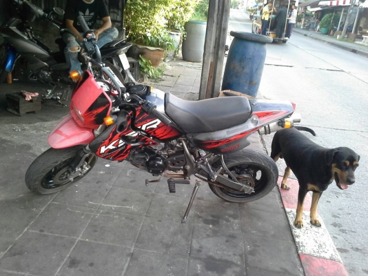 ขาย Kawazaki Ksr ปี 52 เครื่องดี แต่งภายนอก เล่มพร้อมโอน