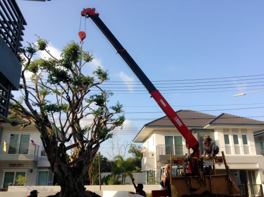 รับจ้าง / ให้เช่า