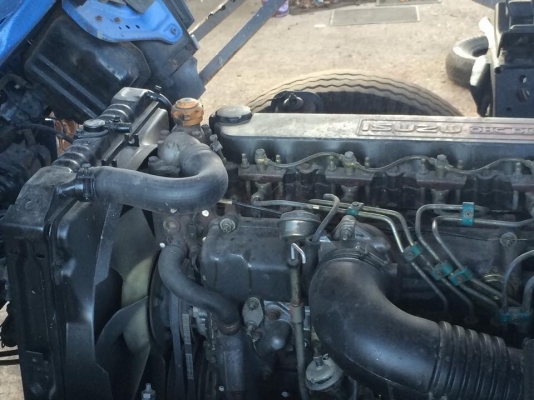 ขายNPR 120 หัวกาตูน ยาว 5 เมตร