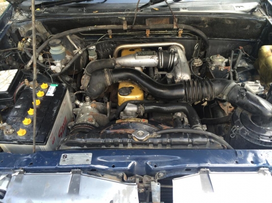 อีซูซุ ปี2000 ตอนเดียว สีสวย เครื่องดี หน้าหลังเดิมๆ อีซูซุ ปี2000 ตอนเดียว สีสวย เครื่องดี หน้าหลังเดิมๆ