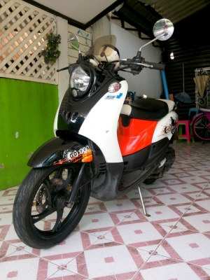 Fino ฟีโน่พร้อมใช้