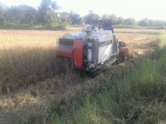 รถเกี่ยวข้าว