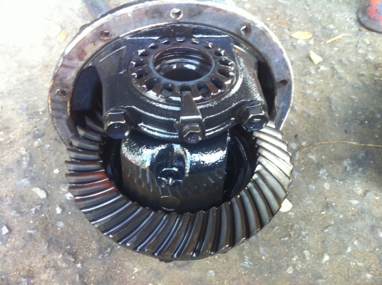 ขายเฟืองท้าย ไมตี้ 10/43       3900 บาท