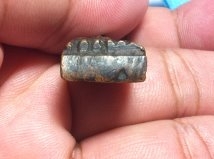 ปล่อยให้เช่าพระหลวงปู่ทวด ปี05 พิมพ์เตารีดเล็ก หน้าอาบาเช่ แข่งขีด