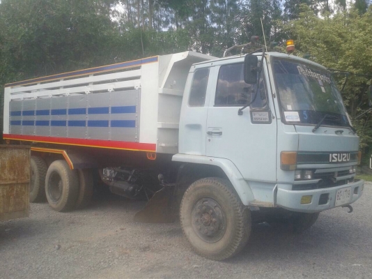 ขายถูกร็อคกี้หัวฟ้า