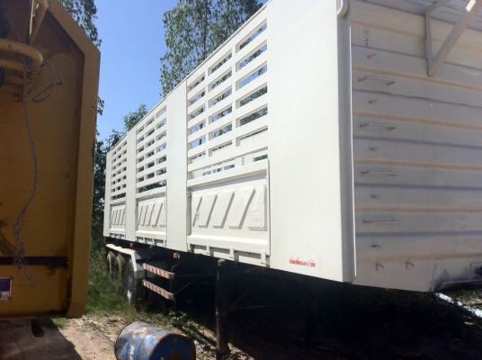 หางสามมิตร 3เพลายัดยังไม่ลงเล่ม ยาว10.5เมตร