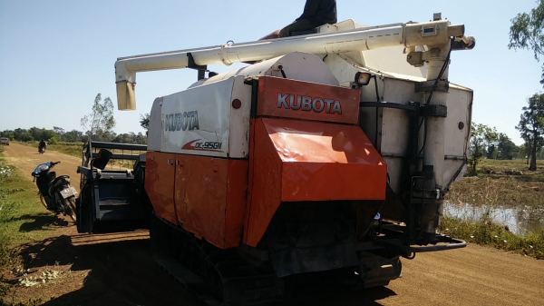 ด่วน!ขายรถเกี่ยวข้าว คูโบต้า Dc95Gm ราคา 479000 บาท มีเล่มทะเบียน