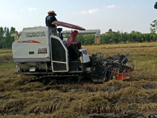 ด่วน!ขายรถเกี่ยวข้าว คูโบต้า Dc95Gm ราคา 479000 บาท มีเล่มทะเบียน