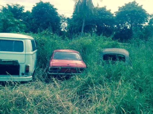 ขายด่วน