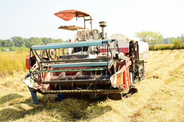 ขายรถเกี่ยวข้าว คูโบต้า 60DC Plus ลดราคาแล้วครับเหลือ 300,000