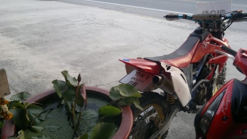 ขายมอไซร์แบบลุยๆ ถูกๆครับ ขายมอไซร์แบบลุยๆ ถูกๆครับ