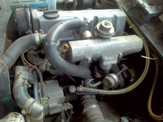 ขาย มาสด้า โปรซีด 2 คัน ราคา85,000 บาท โทร 088-2802318 ขาย มาสด้า โปรซีด 2 คัน ราคา85,000 บาท โทร 088-2802318