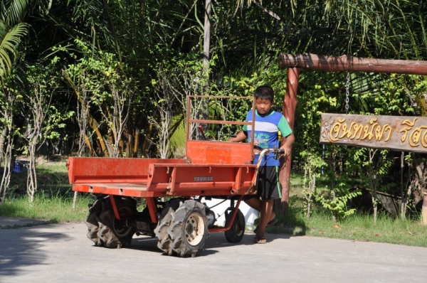 ขายรถบรรทุก อเนคประสงค์YANMAR มีเกียร์ สภาพ เดิมญี่ปุ่น อะเนคประสงค์12,500เท่านั้น!!
