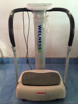 เครื่องออกกำลังกายยืนสั่น WELNESS