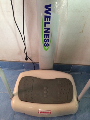 เครื่องออกกำลังกายยืนสั่น WELNESS