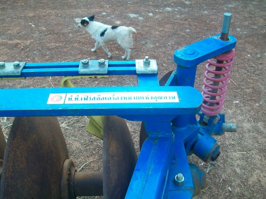 ขายผาน 7 tt ของฟอร์ด ขายผาน 7 tt ของฟอร์ด