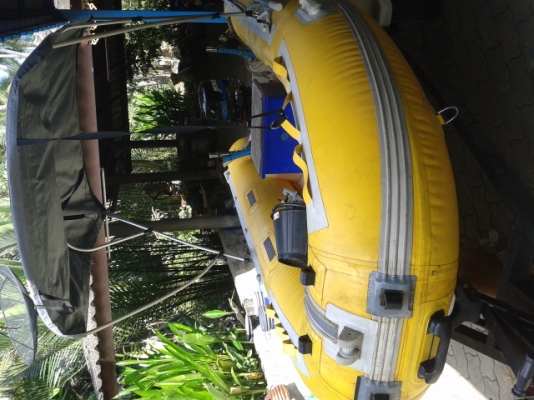 ขายเรือยางดาร์แฟรง 330 ท้องไฟเบ่อร์